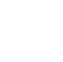 phone-icon-white